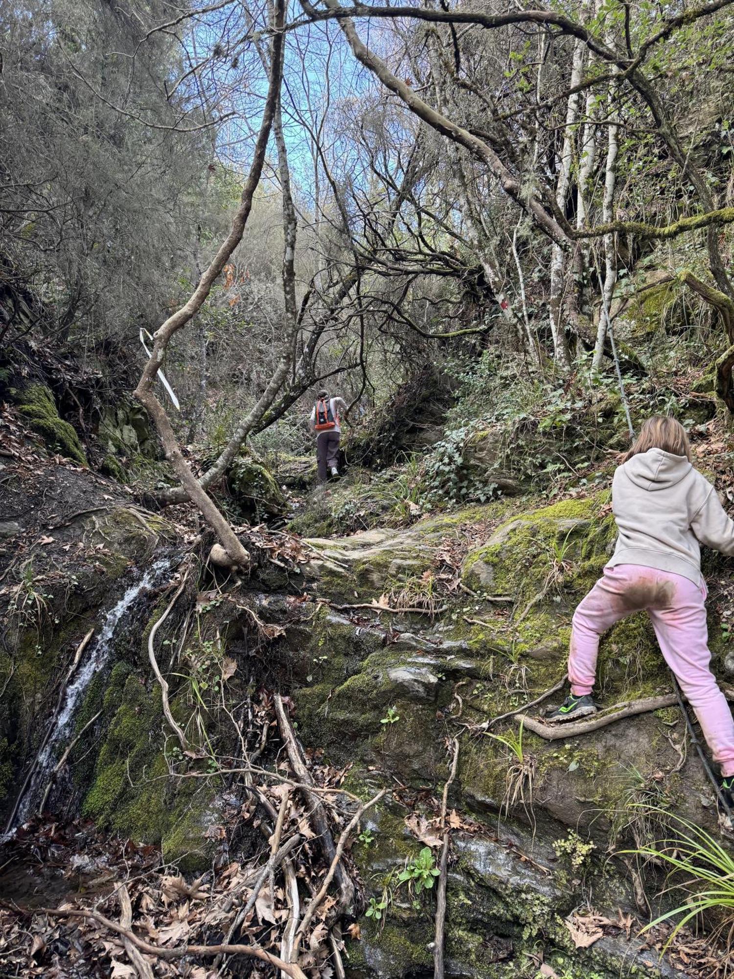 Foresta In Medias Mores Trípoli Eksteriør bilde