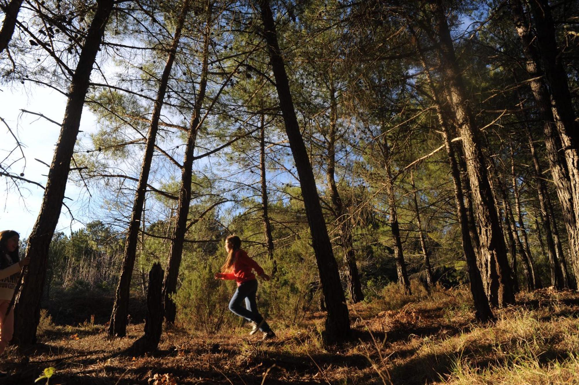 Foresta In Medias Mores Trípoli Eksteriør bilde